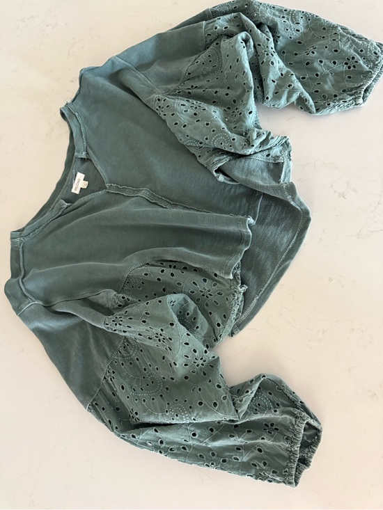 Pilcro Tops - PILCRO for Anthropologie - Eyelet Long-Sleeve Cropped Top in Sage Green